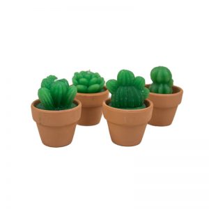 Velita Cactus en Maceta 5X6cm