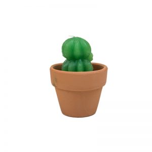 Velita Cactus en Maceta 5X6cm