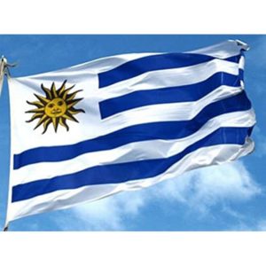 Bandera de Tela Uruguay 90x150cm