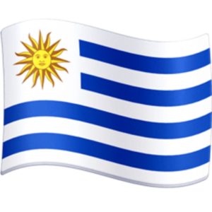 Bandera de Tela Uruguay 60x90cm