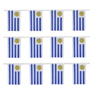 Guía x6 Banderas de Nylon Uruguay 30x20cm 3mts